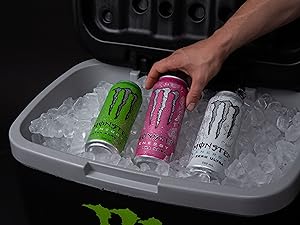 Sugar-Free Energy Drink | 15x16oz, Caffeine, Zero Calories